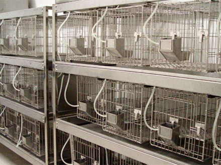 實驗動物設施分類和技術(shù)指標
